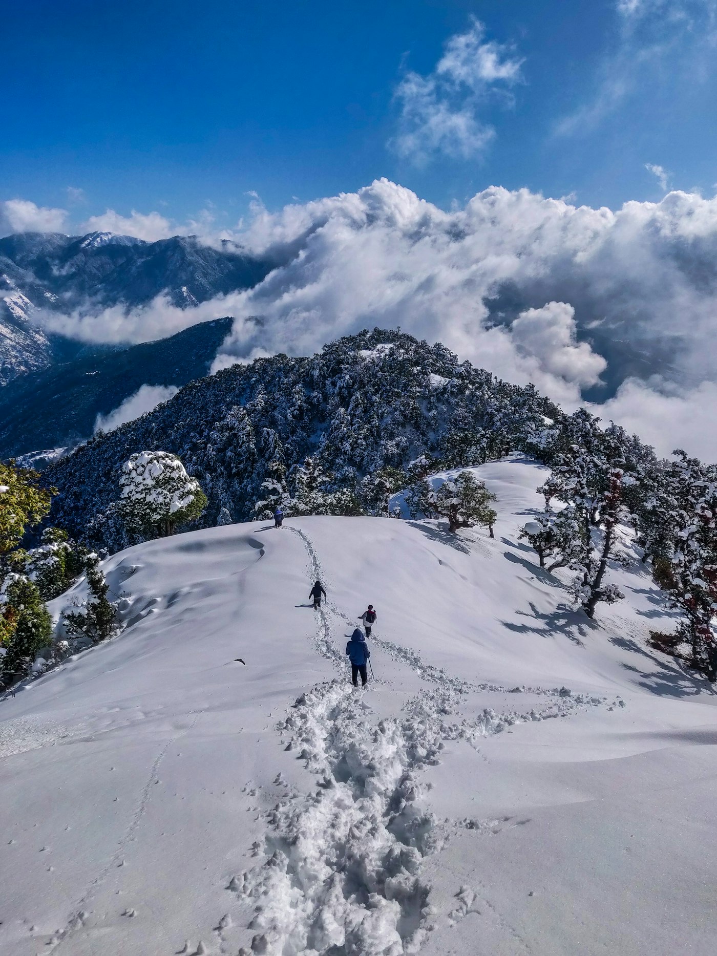 Himalayan Escape